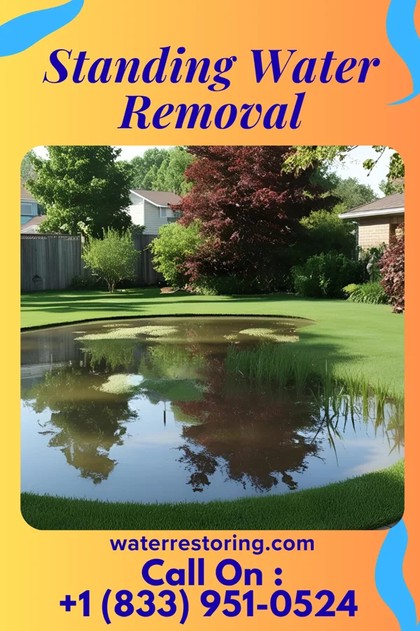 Standing Water Removal in Cambridge City, IN